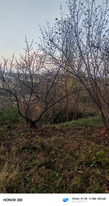 kiraye evler ucuz 2023: Satılır: yarımçıq tikili həyət evi - Divarlar: keramzit/kərpic — 6