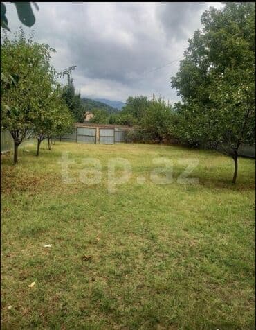 бина аз недвижимость: Tikinti — 2