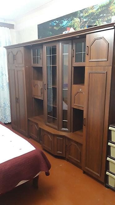 kreditle heyvan satisi: Yaxsi veziyetdedi başqa eve koçurem deye satiram — 1
