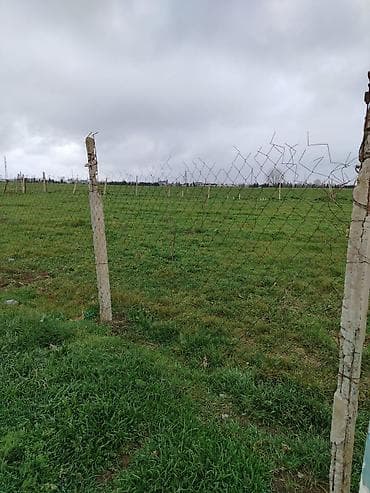 kənd: Kənd təsərrüfatı — 9