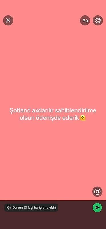 ağ pişik: Şotland, Yaxşı əllərə — 1