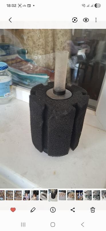 kreditle heyvan satisi: Akvaryum və akvarium avadanlıqları. Tam dəst akvarium sistemi və — 2