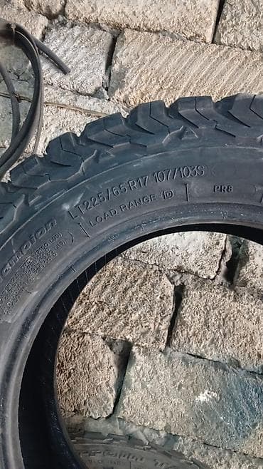sam diskler: Şin BFGoodrich 225 / 65 / R 17 — 4