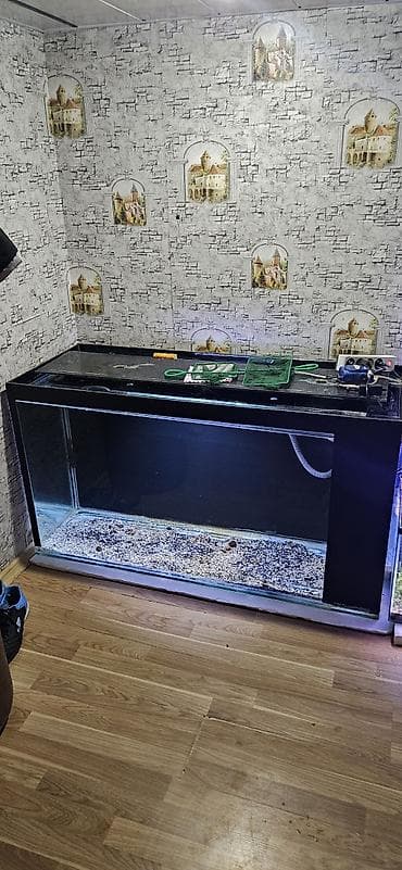 130×70×50Böyük həcmli şüşə akvarium və aksesuarlar - Təxminən