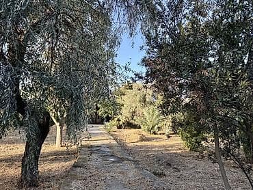 Квартиры: 14 соток, Для строительства, Купчая — 5