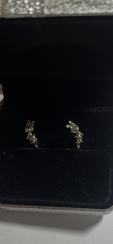 sirqalar: Sırğa, Gümüş, Ünvandan götürmə — 1