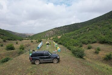 продается мед: Elf bee's 1977 eco product for health and longevity tovuzun — 14