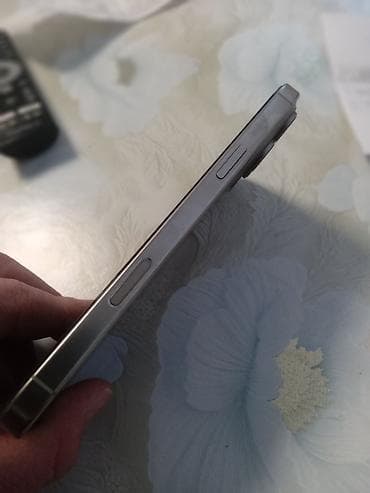 apple iphone 6: IPhone 16 Pro Max, 256 GB, Gümüşü, Face ID — 5