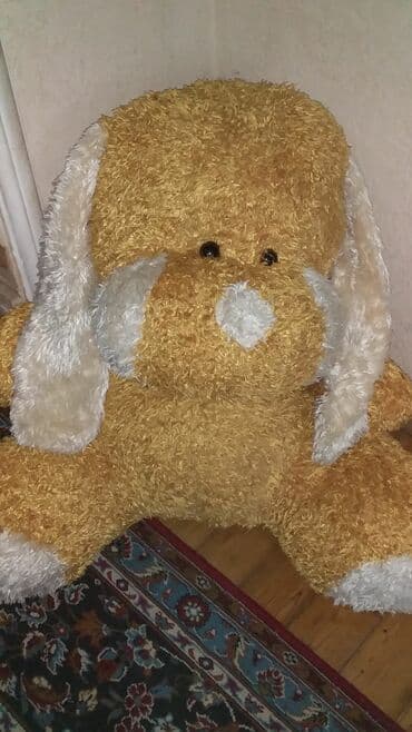 usag oyuncagi: 30 azn — 1