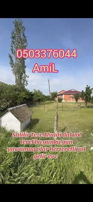 Satılır: Masallı r., Təzə Alvadı kəndində satılıq həyət evi / torpaq lalafo.az -da Satılır: Masallı r., Təzə Alvadı kəndində satılıq həyət evi / torpaq