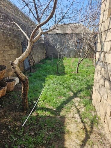 xacmazda satilan evler: Digah 4 otaqlı, 120 kv. m, Kredit yoxdur, Təmirsiz — 2