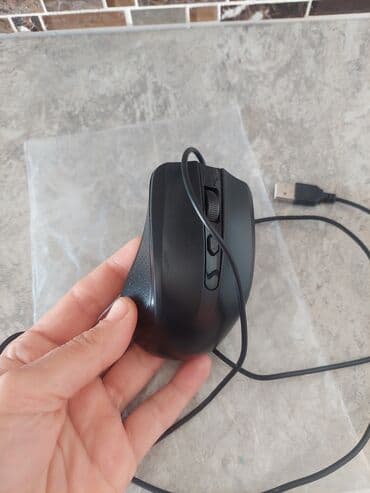 Skanerlər: Tezedi qiy 5m — 1