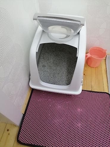 pişik alıram: Salam pişiyim böyüdüyü üçün tam sığmır. O üzden satıram. Yeni kimidir — 5