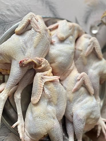Məhsullar: - Qubadan gətirilən kənd yumurtası - Tam təbii - Vitamin — 6