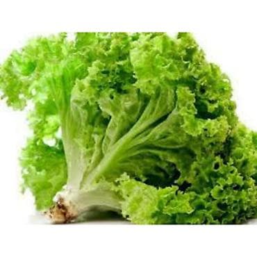 2 otaq: Rukolla var . Yalnız whatsappda yazın — 4