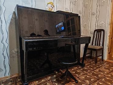 qedim xalca per page 100: Piano, Belarus, Akustik — 3