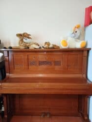 Piano, Akustik, İşlənmiş, Ödənişli çatdırılma