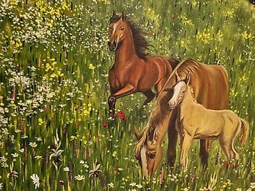 ekran sekili: Eksklüziv əl işi böyük ölçülü yağlı boya tablo – Şuşa (Cıdır düzü) və — 2