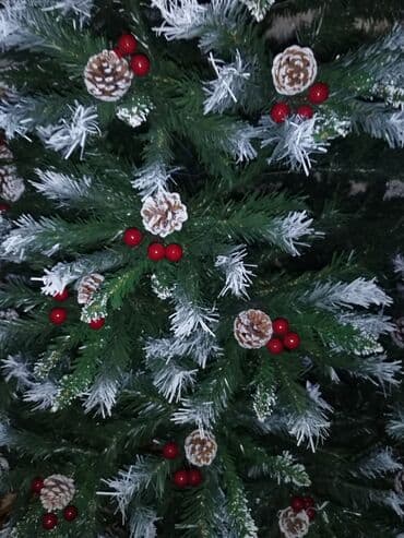 dib: 210 hundurlukde rial alciya cuzu endirim olacaq zontik modeldi — 4