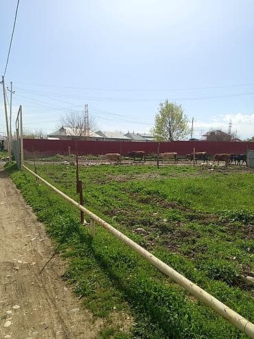 продажа дачных участков в баку: Для строительства, Возможен обмен, Купчая — 2