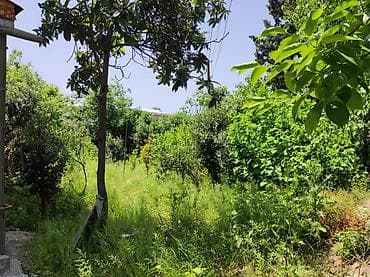 sarayda kreditle evler: Geniş və işıqlı fərdi evin icarəsi üçün təqdim olunur. Xüsusiyyətlər — 10