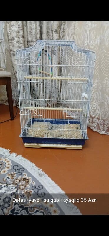 большая клетка для попугая: Quş qəfəsləri və aksesuarları - Dəst 1: Qəfəs + yuva + su qabı + — 2