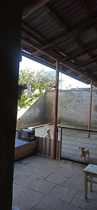 xirdalanda heyet evi: 3 otaqlı, 200 kv. m, Kredit yoxdur, Təmirsiz — 5