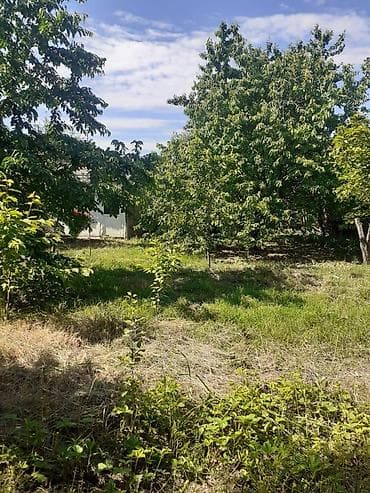 lan: 7 sot, Kupça (Çıxarış) — 5