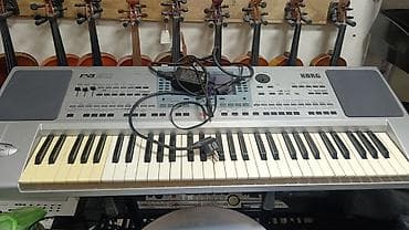 Korg pa 50