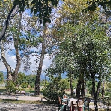 аренда и продажа недвижимости: 25 sot, Mülkiyyətçi, Kupça (Çıxarış) — 5