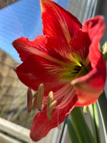 Salam öz evimdə dayəlik edirəm. Evin hər bir şəraiti var. Təcrübəm