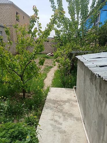 türkanda ev: 60 kv. m, 3 otaqlı, Kommunal xətlər qoşulmayıb — 10