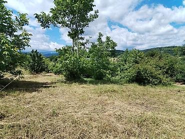 bilgehde torpaq: 7 sot, Tikinti, Maklerlər narahat etməsin, Kupça (Çıxarış) — 8