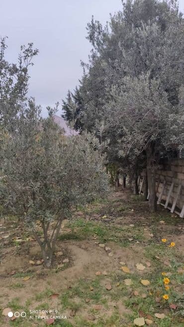 yeni evlər: 8 otaq, 550 kv. m, Yeni təmirli — 2