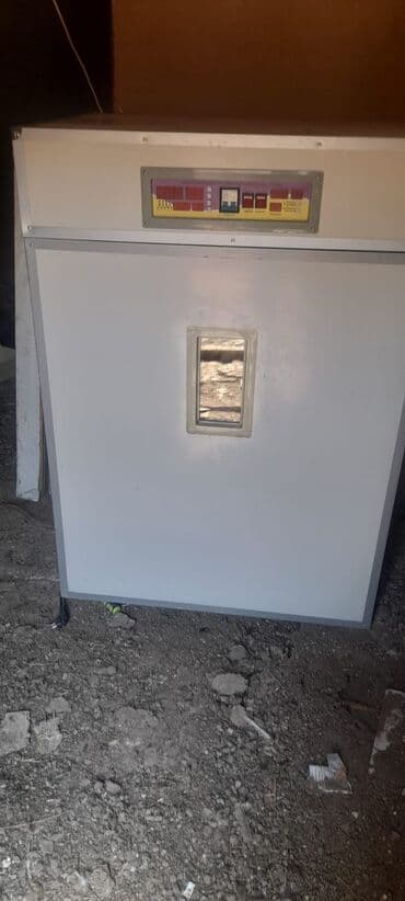 домашний инкубатор: Bu, yumurta inkubatorudur. Onun ağ rəngli korpusu və üst hissəsində — 1