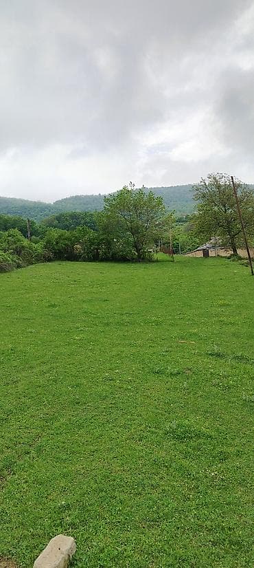 14 sot, Tikinti, Maklerlər narahat etməsin, Kupça (Çıxarış)
