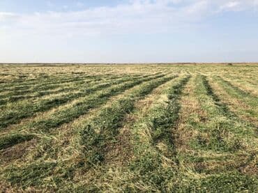 сдается 3 комнатная квартира: 40000 sot, Kənd təsərrüfatı, Mülkiyyətçi, Müqavilə — 2