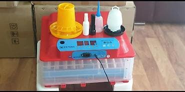 Inkubator inqibator inkibator inqubator 63 yumurtaliq zavod — 1