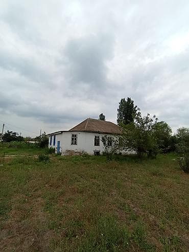 sadik: Torpaq sahəsi və həyət evi - Geniş həyətyanı sahəli torpaq: ətrafı — 5