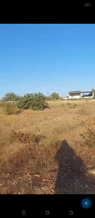 bine sovxoz evler: 6 sot, Tikinti, Kupça (Çıxarış) — 5