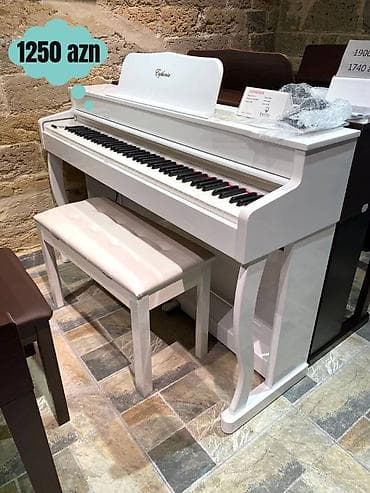 qədimi pullar: Yeni daxil olmuş elektro pianolar, çox münasib qiymətə. Fərqli — 1