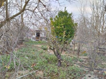 dübəndi torpaq: 11 sot, Tikinti, Makler, Kupça (Çıxarış) — 5