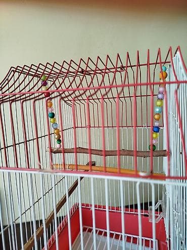 qefes boyuk: Qırmızı-ağ quş qəfəsi - Material: metal barmaqlıqlar, plastik altlıq — 3
