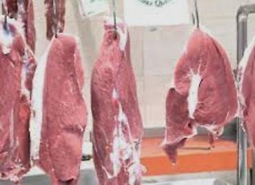 iptv azerbaycan pulsuz 2026: Sertifikasiya olunmuş halal mal əti topdan qiymətə pərakəndə də — 6