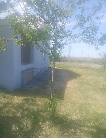 Гаражи: Xızı rayonu, Bakı–Quba yolu, Yaşma qəsəbəsi — ferma və əkinçilik üçün — 6