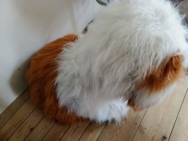 мягкая мебель в баку: Мягкие игрушки в хорошем состоянии находятся в Бузовна — 3