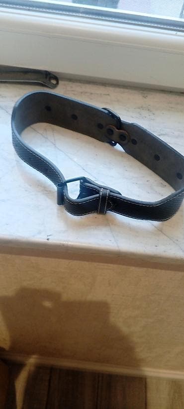 it üçün kemer: Möhkəm it boyunluğu - Material: qalın süni/deri tipli kəmər hissəsi — 1