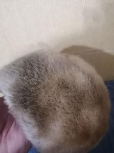 женские шапки из кролика: Норковая шапка женская Ссср фабрика "Москва" 1950_60 года — 4