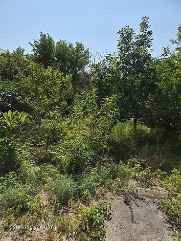 maştağada sot: Həyətyanı torpaq sahesi 4 sot yarimdir sokar poliklinka ilr uzbruz su — 5
