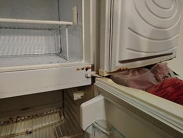4 luk kabel: İki qapılı məişət soyuducusu - Üst hissədə dondurucu bölmə, çıxarıla — 1